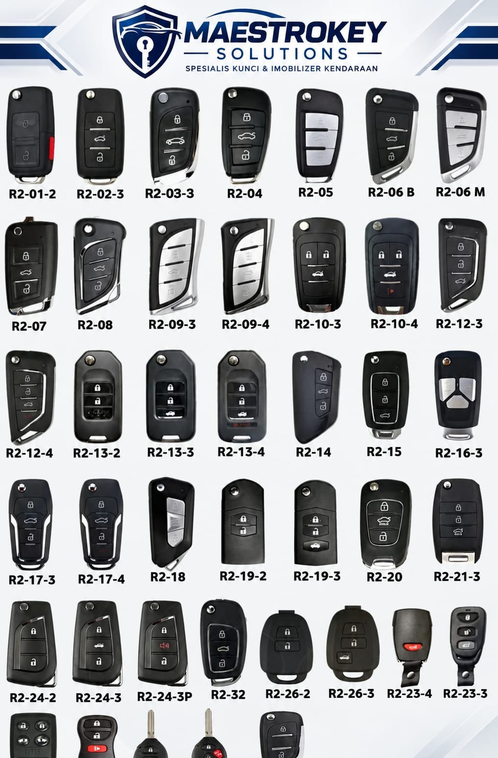 Remote Immobilizer